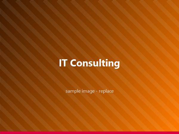 IT consulting and audits
